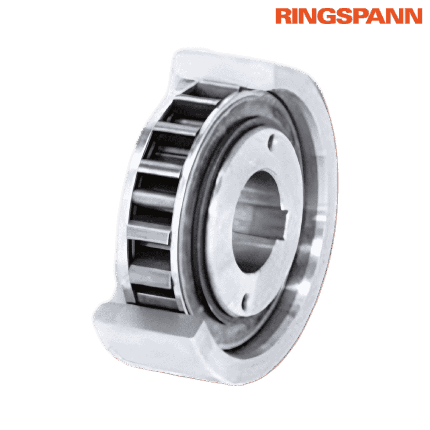 FXN 31 - 17/60 NX RINGSPANN Image