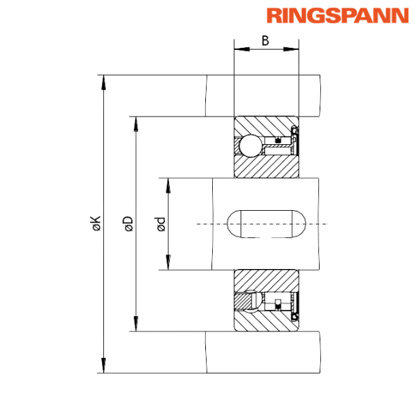 FZ 6203 PP RINGSPANN