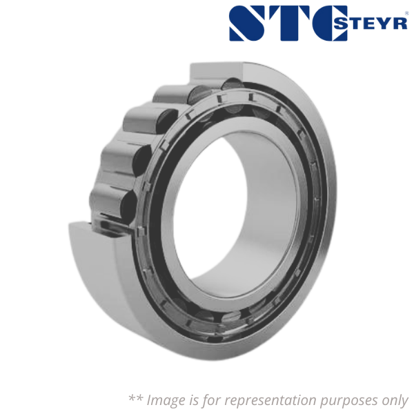 NU217 STEYR Image