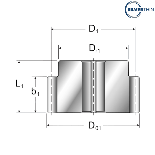SP1629-17 SILVERTHIN