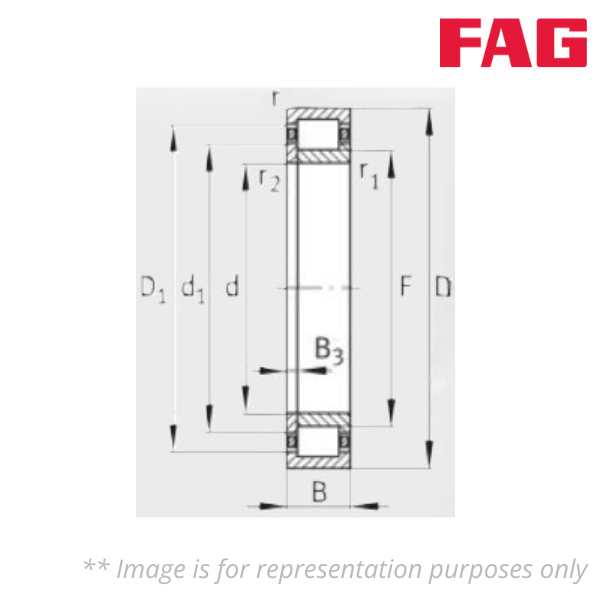 Z-545611.ZL FAG