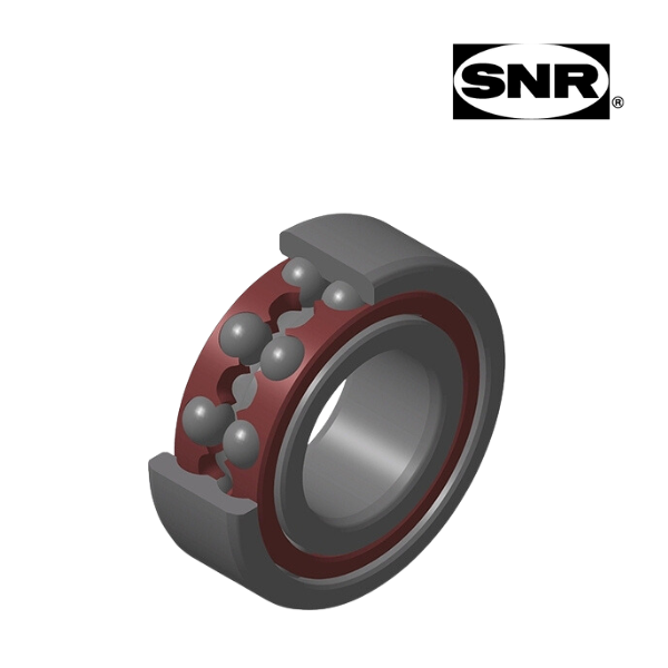 4302 SNR Image