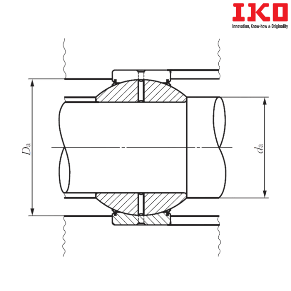 GE 100GS-2RS IKO