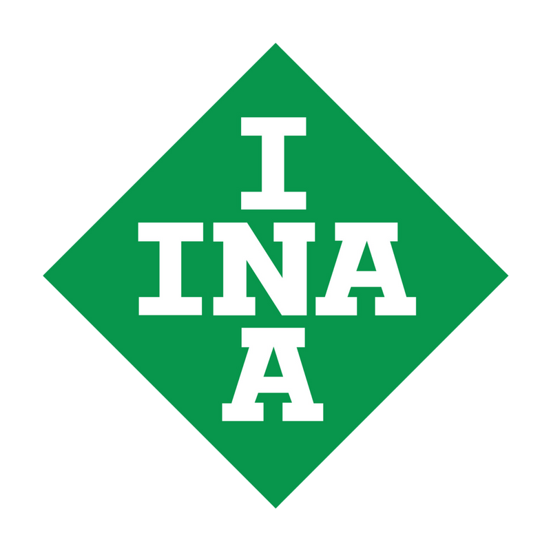 D11 INA Image