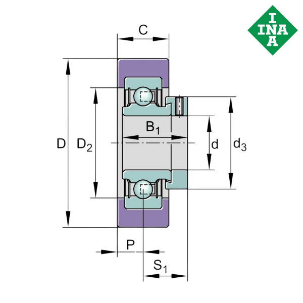 RCSMB17/65-XL-FA106 INA