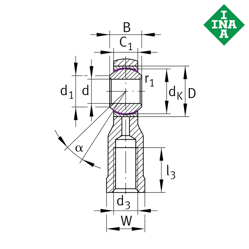 GIKPSR12-PS INA