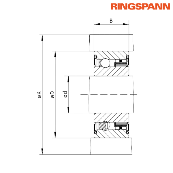 FZ 6204 2RS RINGSPANN