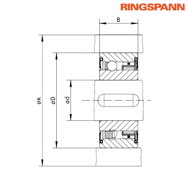 FZ 6205 P2RS RINGSPANN