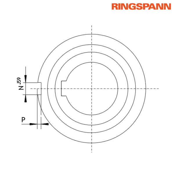 FZ 6202 PP RINGSPANN
