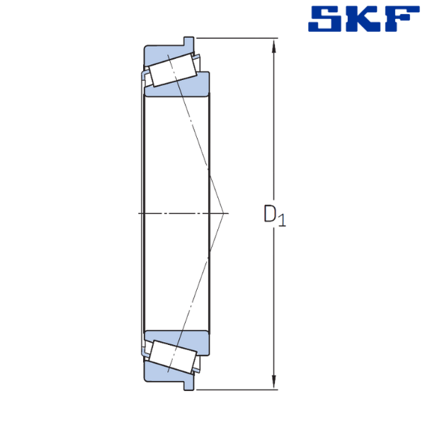 BT1-2113 SKF