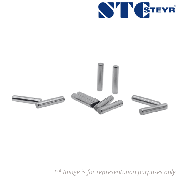 RC17X17 STEYR Image