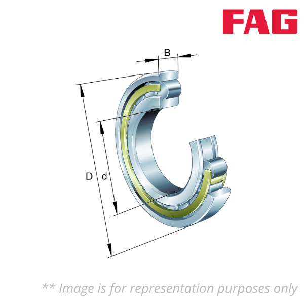 N1096-K-M1-SP FAG Image