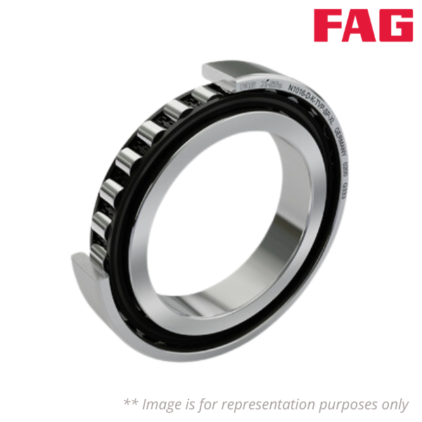 N1040-K-M1-SP FAG Image