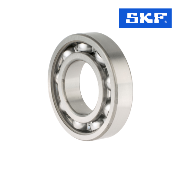 16007/D8 SKF-Image